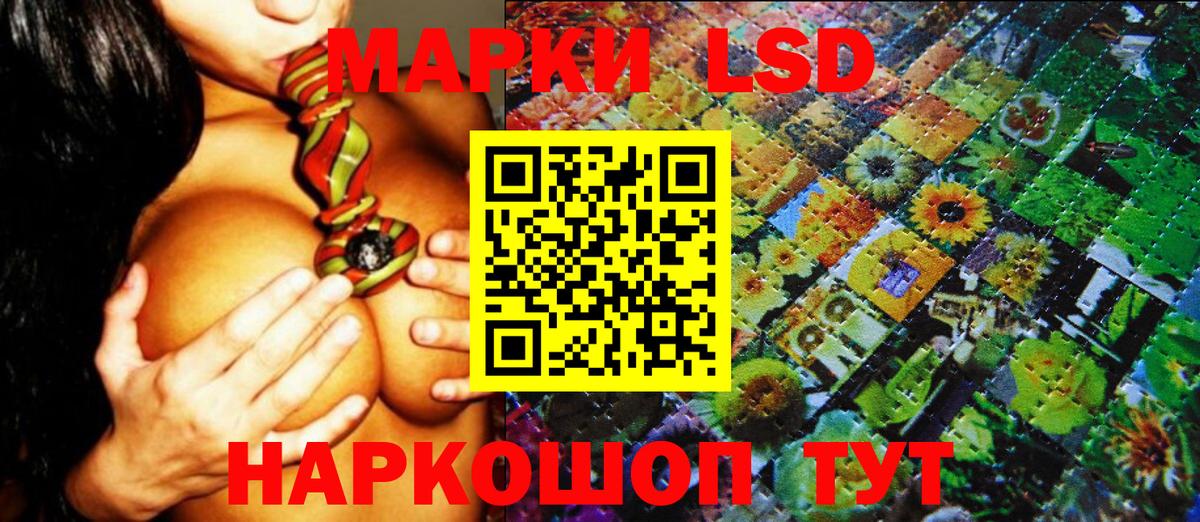 где продают   Марки N-bome 1,8мг  Вход с VPN  Черемхово 