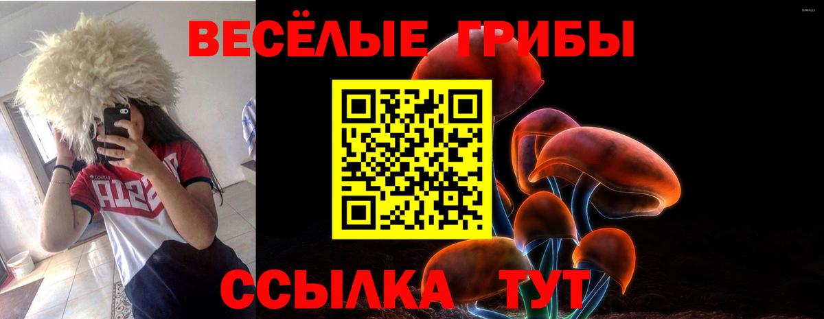 Черемхово  Галлюциногенные грибы Magic Shrooms  Галлюциногенные грибы Magic Shrooms  Вход с VPN 